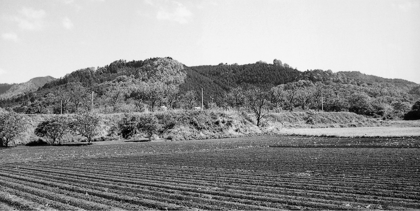 夜久野町　宝山（田倉山）の火砕丘