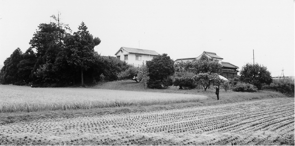 京田辺市浜新田の自然堤防