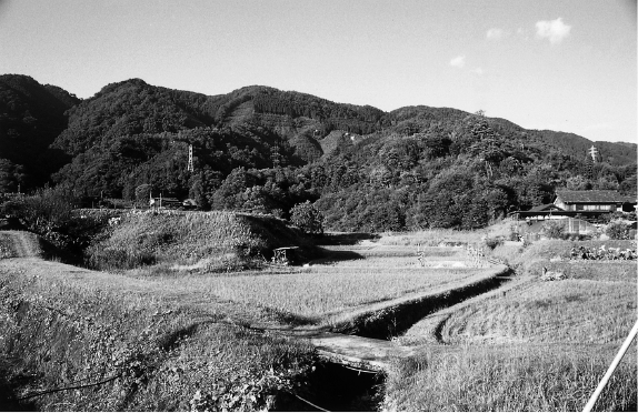 南山城村　北大河原の木津川断層崖