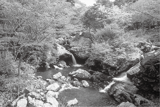 南丹市大河内　天引川の瑠璃渓