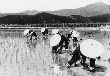 「田植え」。