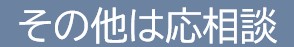 その他は応相談