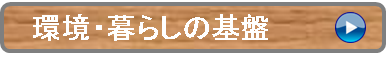 環境・暮らしの基盤（ボタン）