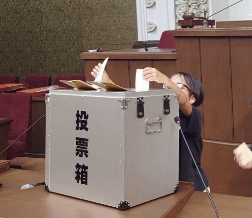 投票