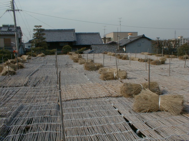 小倉茶園1