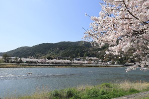 20230328arasiyama1.JPG