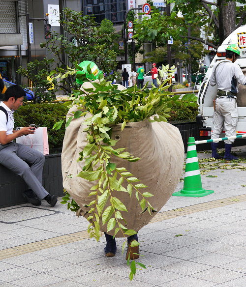 造園協会賞