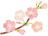 桜のイラスト