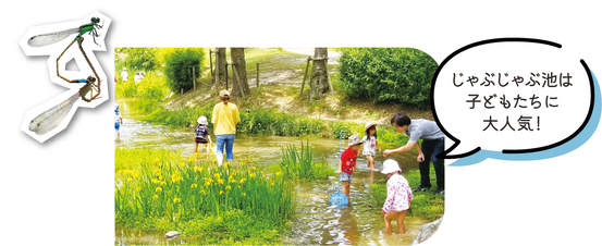 じゃぶじゃぶ池は子どもたちに大人気！