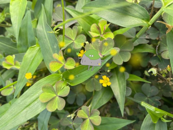 ひろがるあたたかさのイメージ画像