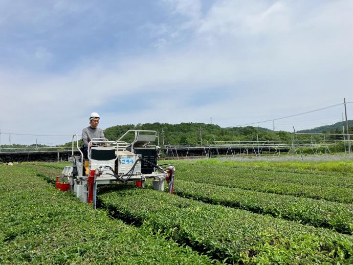 ギャラリー(茶業専攻2)