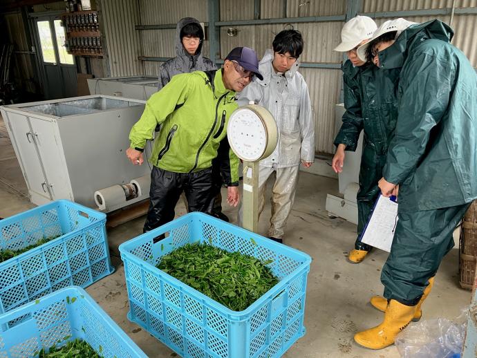 ギャラリー(茶業専攻4)