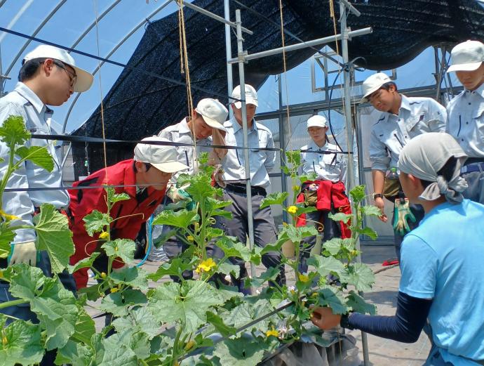 ギャラリー(一年生実習3)