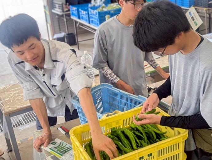 ギャラリー(一年生実習4)