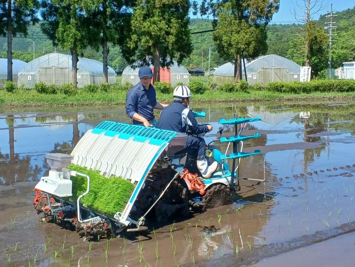 ギャラリー(水稲実習2)