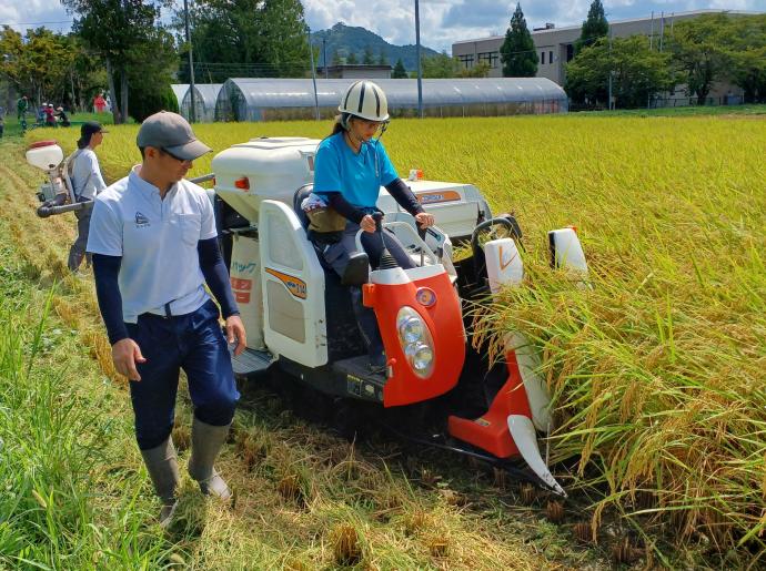 ギャラリー(水稲実習3)