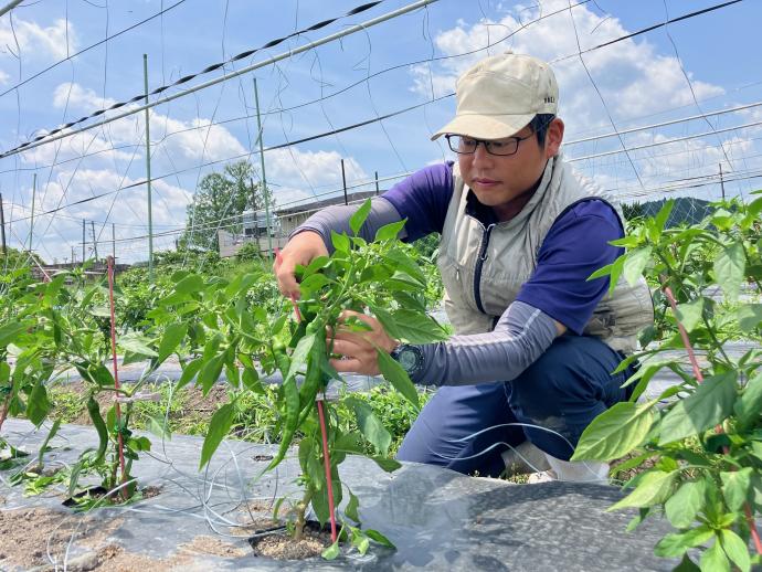 ギャラリー(露地専攻2)