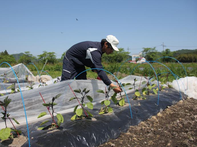 ギャラリー(露地専攻3)