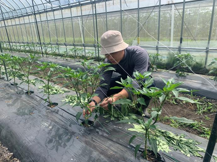 ギャラリー(伝統専攻2)