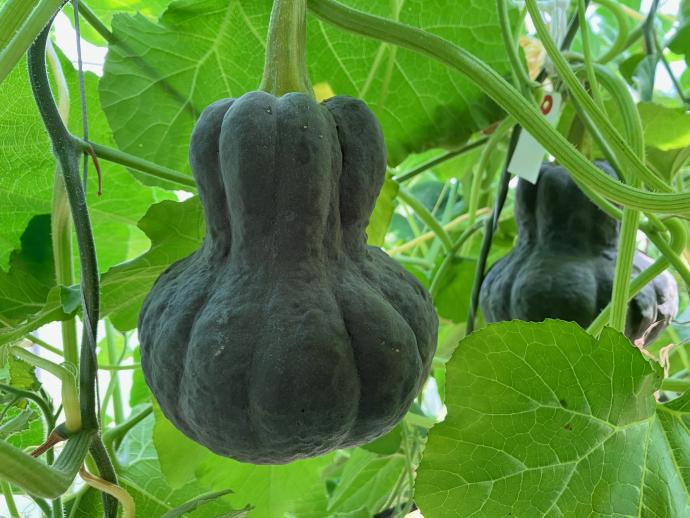 ギャラリー(伝統専攻3)