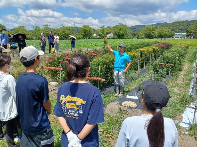農作業体験の写真
