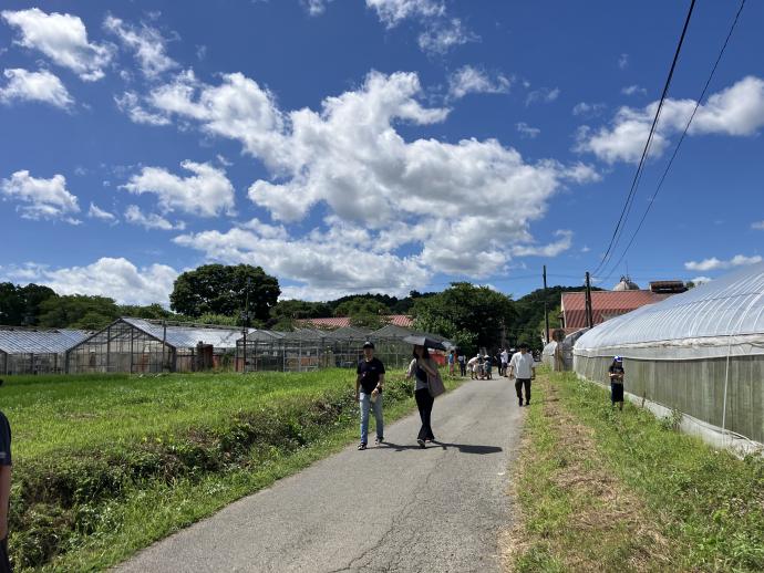 農大マルシェの写真（道ばたの様子）