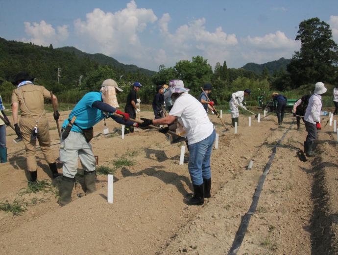 ステップイン講座の様子（ほ場作業の研修）