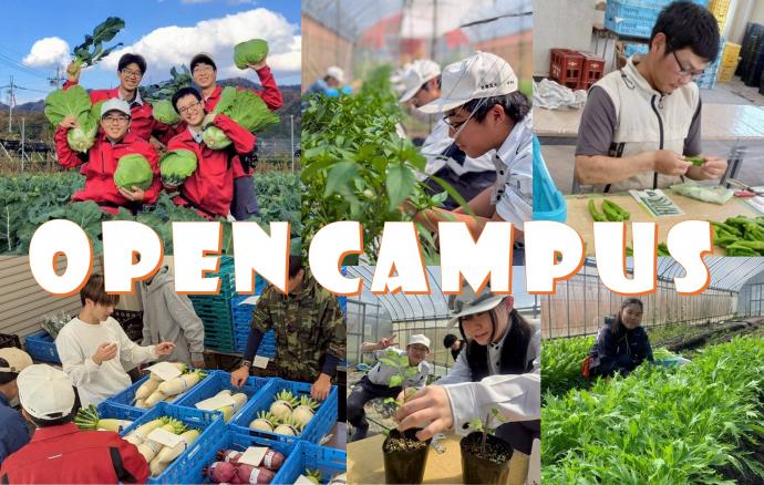 オープンキャンパス案内ページのタイトルバナー