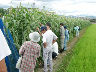 平成14年8月9日向日市物集女での現地研修会の様子