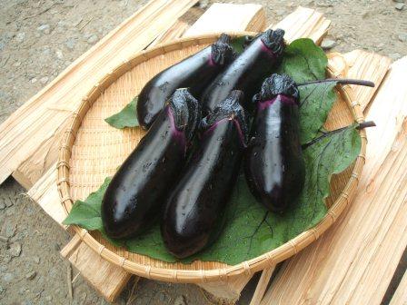 eggplant