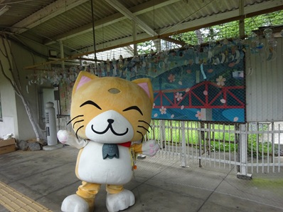 furin2