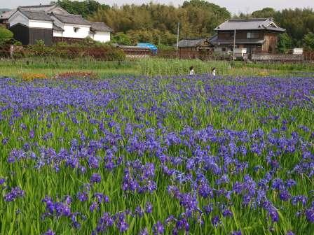 城陽市(じょうようし)
