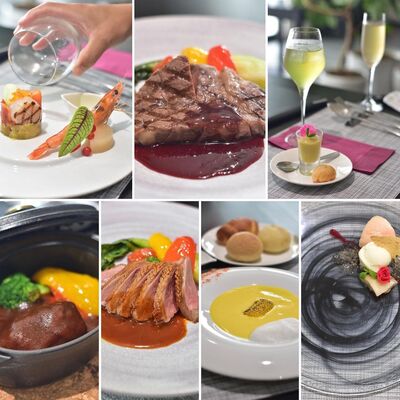 ビストロトレアドール