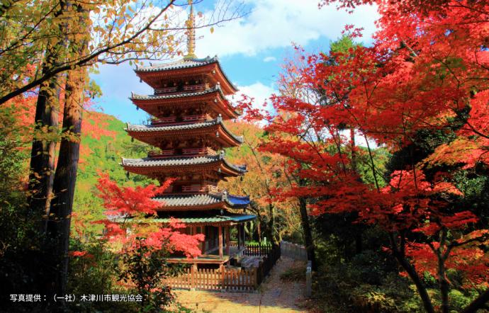 海住山寺