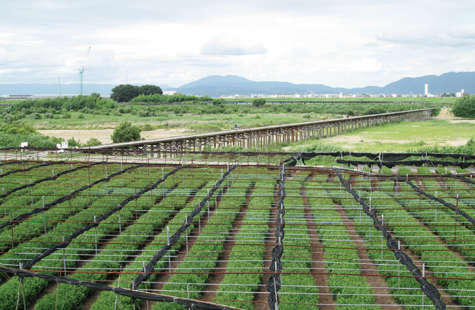4日本遺産をめぐる風景画像