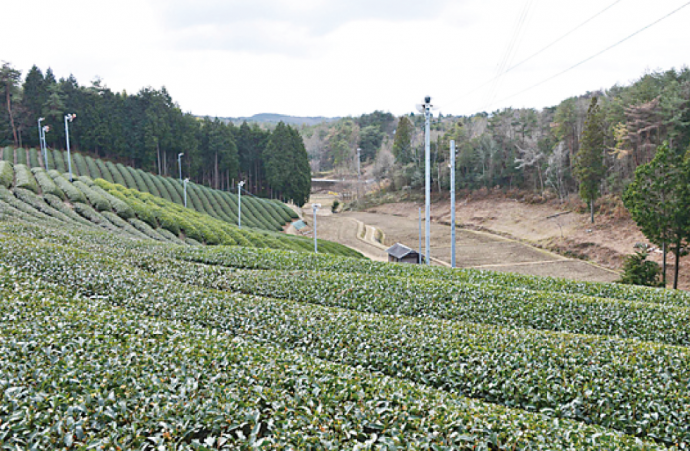 日本遺産をめぐる9コースをご紹介8風景