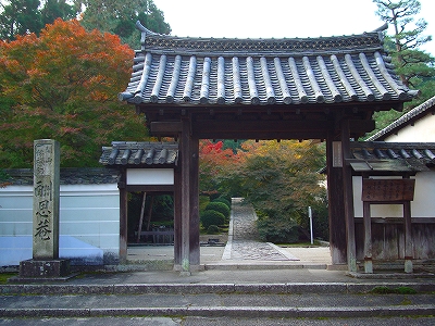 一休寺の紅葉2