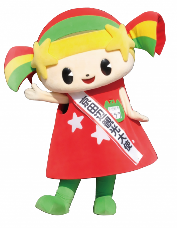 キララちゃんの画像