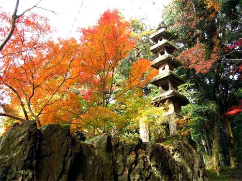 興聖寺の紅葉3