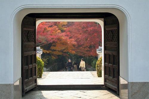 興聖寺の紅葉6