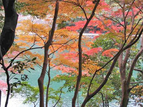 宇治川沿いの紅葉4