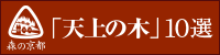 天上の木バナー（決定）