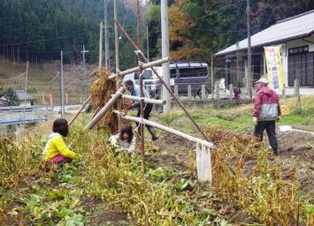 世木苗植え