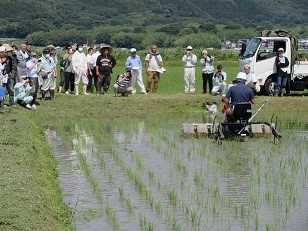 除草機の実演を熱心に見学する参加者（2）