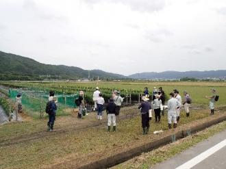 現地研修の様子