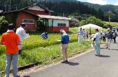 慣行ほ場の見学