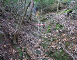 流域の荒廃状況の写真