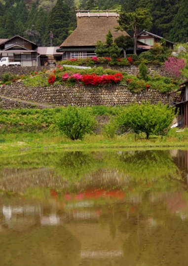 春のかやぶきの家