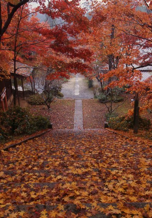 もみじの西光寺