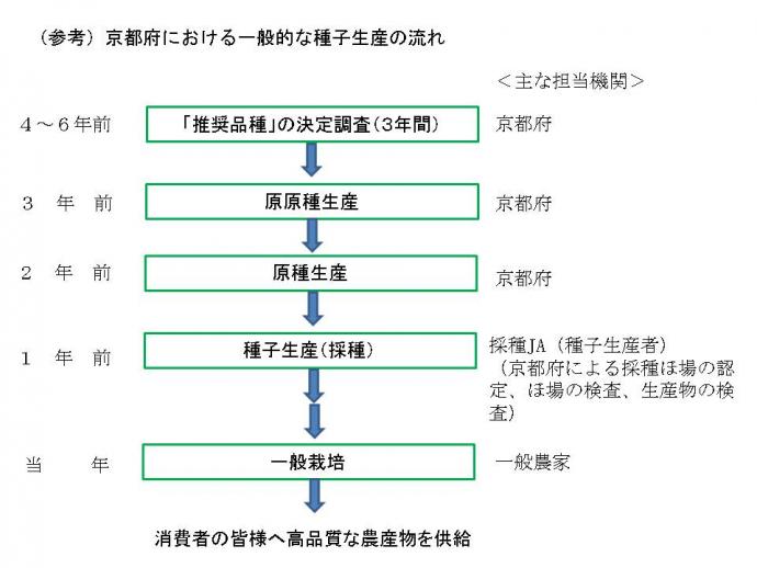 （参考）京都府における一般的な種子生産の流れ